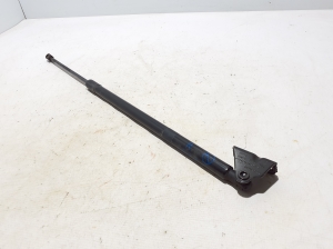 Ford Mustang Mach-E Mach-E (2020–2026) Trunk lid strut LJ8BR406A10AC - 2