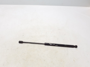  Hood prop/gas strut  - LJ8BR16C827AB 