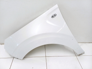   Front fender  -  