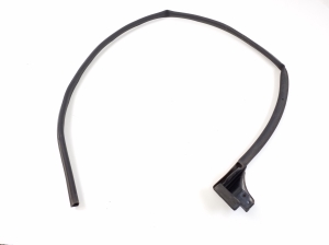   Rear side door seal on the door  - 9829760480 