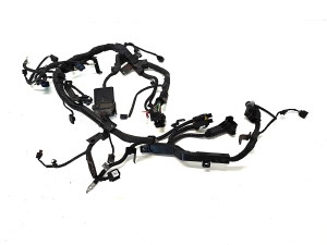   Engine wiring harness  - 91971F2100 
