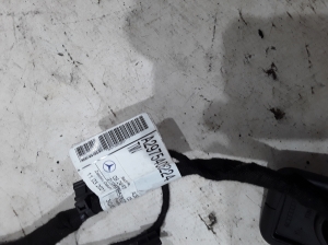 Wiring harness - A2975405224