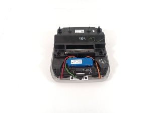 Ford Mustang Mach-E Mach-E (2020–2026) Front interior lighting panel LJ8BR519A58ACJ31Y1 - 2