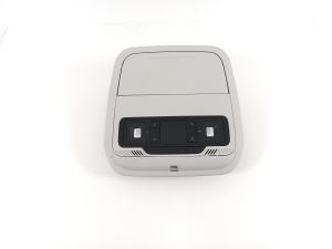 Ford Mustang Mach-E Mach-E (2020–2026) Front interior lighting panel LJ8BR519A58ACJ31Y1 - 6