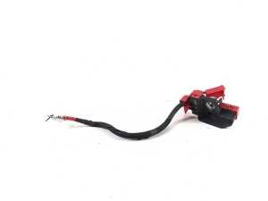 Ford Mustang Mach-E Mach-E (2020–2026) Pluskabel LJ8T14A094BC - 2