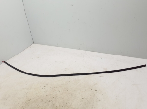 Windshield molding - 7412641