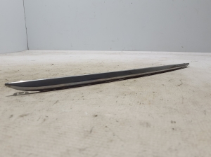 Rear bumper molding - A2138850121