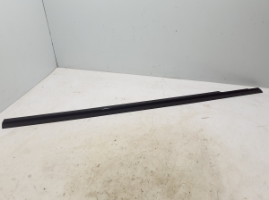 Front door outer window molding - A2387202007