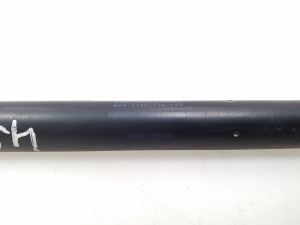 NISSAN Pathfinder R51 (2005–2012) Heckklappendämpfer 90451EB31A - 3