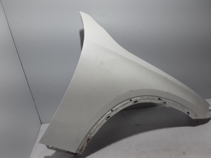 Front fender - A2548810200