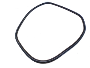  Rear side door seal on the door  -  