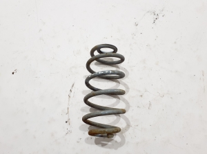 Rear spring - 550202870R