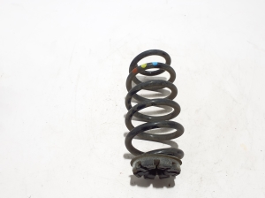 Rear spring - 550208583R