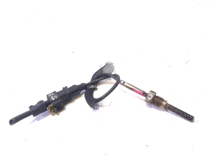 Abgastemperatursensor - FGP55355404