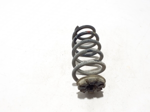 Rear spring - 550208583R
