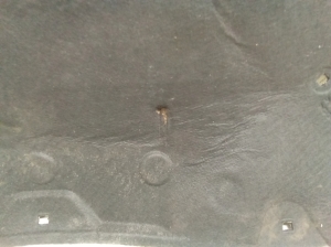 Seat Leon (2005–2012) Kapoti heliisolatsioon 1P0823480 - 3