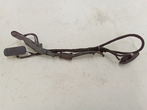 Esiklaasi pesudüüs - 1T0823480