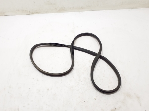 Front door rubber seal - 808326516R