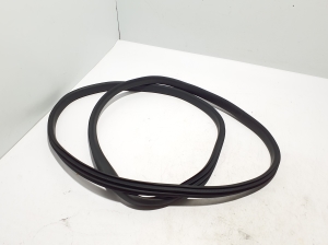 Front door rubber seal - 808330548R