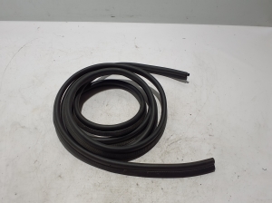 Sliding door seal - 769248499R