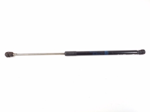   Tagaluugi amortisaator  - A2429800564 