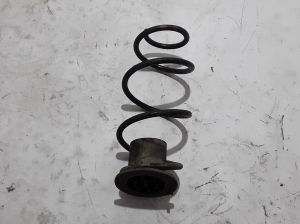 Rear spring - 550204878R