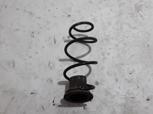 Rear spring - 550204878R