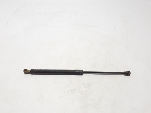 Hood prop/gas strut - 654704121R