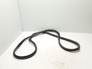 Sliding door seal - 769239974R