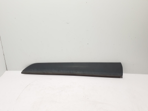 Front door molding - 808775109R