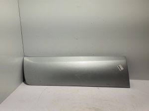 Front door molding - 80877JY00A