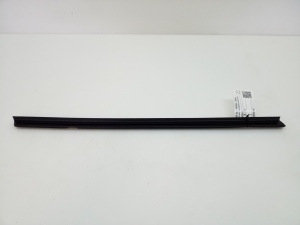   Rear side door strip to glass inner 