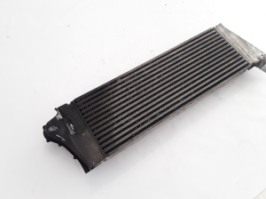 RENAULT Megane II (2002–2009) Ladeluftkühler 8200700172 - 4