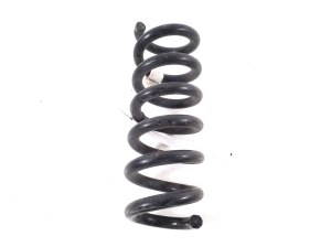 Ford Mustang Mach-E Mach-E (2020–2026) Rear spring LJ9C5560BNF - 2