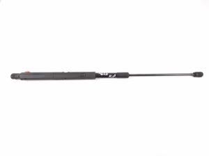  Hood prop/gas strut  - A1648800029 