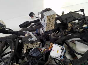 Ford Mustang Mach-E Mach-E (2020–2026) Engine wiring harness LJ8T14290EAH - 2