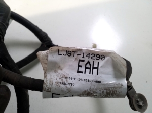 Ford Mustang Mach-E Mach-E (2020–2026) Engine wiring harness LJ8T14290EAH - 3