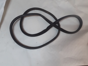 Rear side door seal on the door - 72810SWWE01
