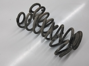 Volkswagen Tiguan (2017–2026) Rear spring 5QN511115B - 2
