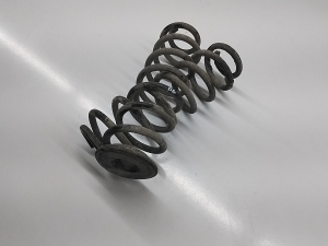 Volkswagen Tiguan (2017–2026) Rear spring 5QN511115B - 3