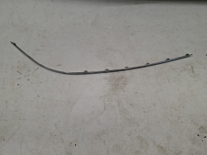 Front bumper trim strip - A2098850321