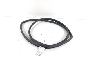 Rear side door seal on the door - 63572AJ010VH