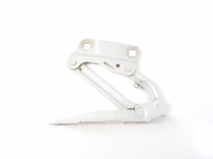   Hood hinge  - A2518800328 