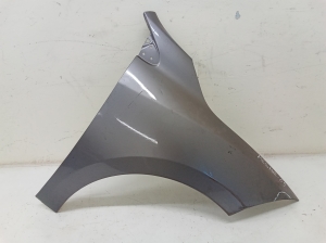 Front fender - 631000009R