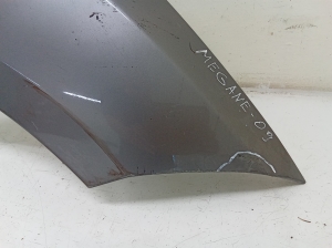 RENAULT Megane III (2008–2016) Front fender 631000009R - 4
