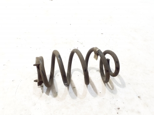 Rear spring - 6892119