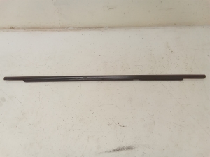 Rear side door outer window molding - RFR1