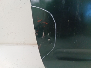 NISSAN Navara (2005–2015) Front door H01015X0MB - 5