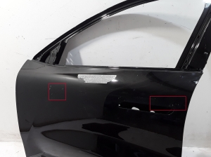 RENAULT Scenic E-Tech I (2024–2026) Front door 801131413R - 3