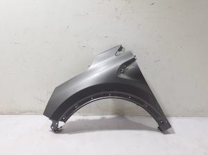 Front fender - 631015069R